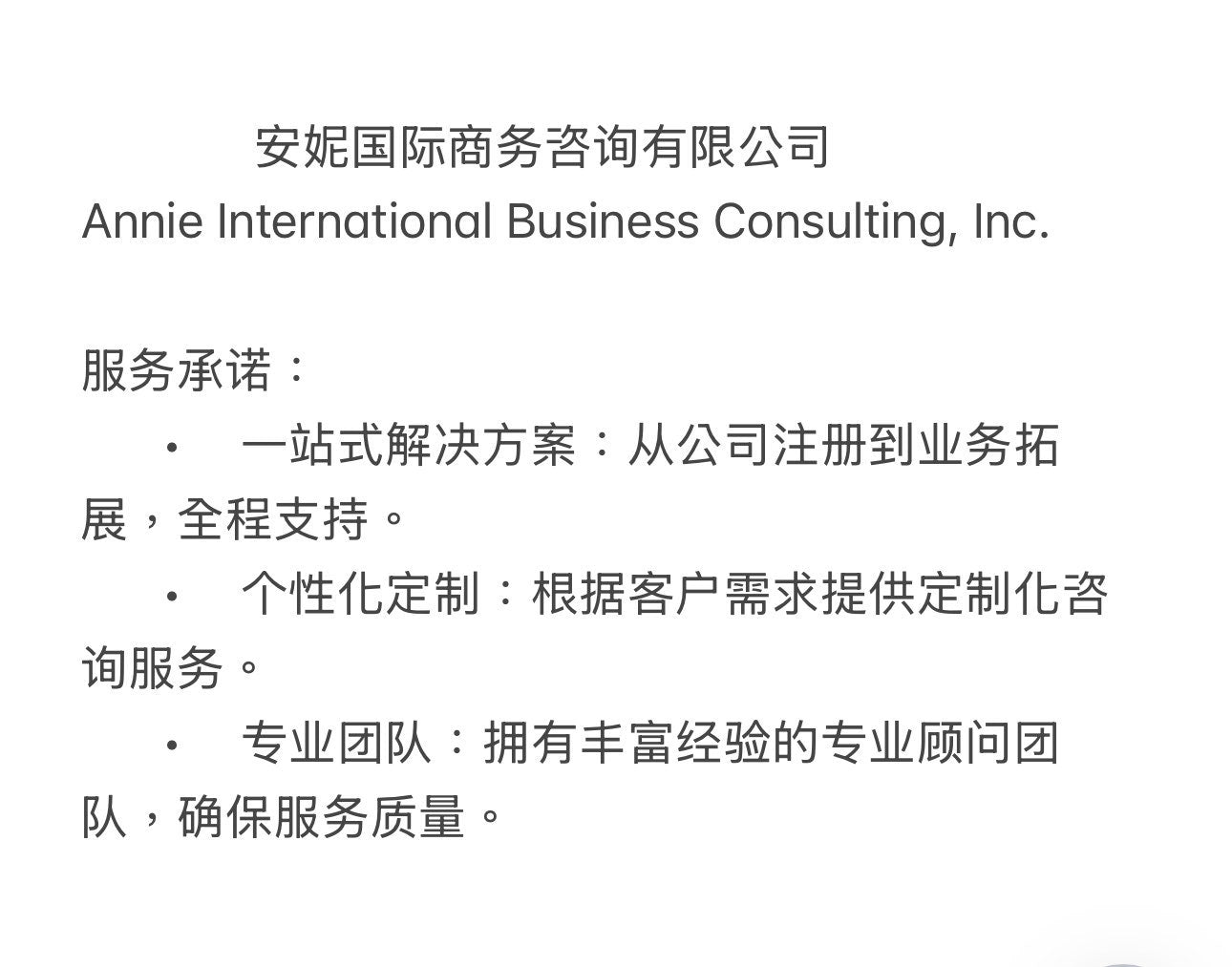 美國公司註冊高級套餐