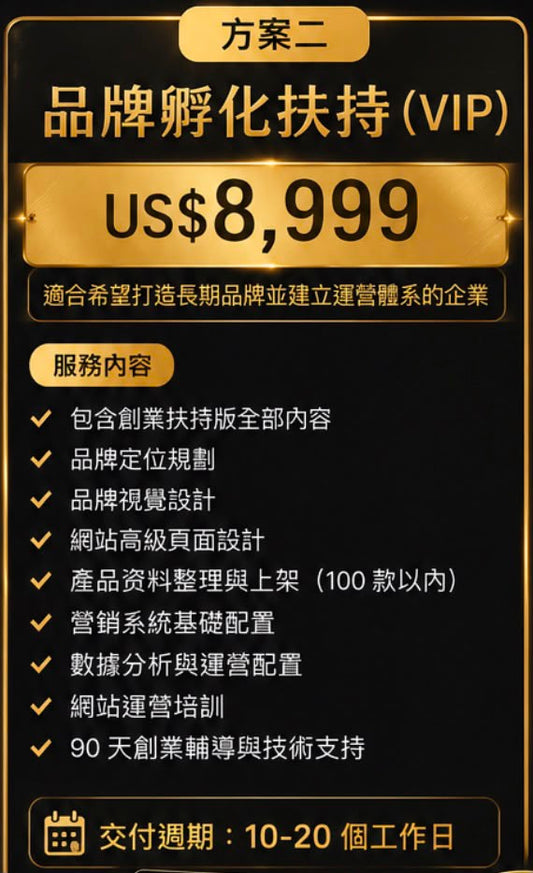 Shopify 独立站建设（旗舰版）